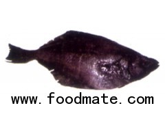 GROUND FISH - ARROWTOOTH FLOUNDER (Atheresthes Stomias)
