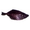 GROUND FISH - ARROWTOOTH FLOUNDER (Atheresthes Stomias)