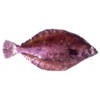GROUND FISH - DOVER SOLE (Microstomas Pacificus)