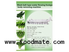 Mesh belt type water flowing foreign body removing machine