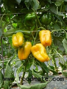 peppers