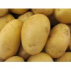 2012 new fresh potatoes