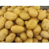 2012 new potato