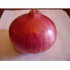 onion