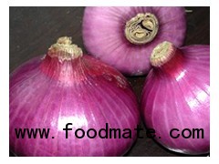 2012 fresh onion