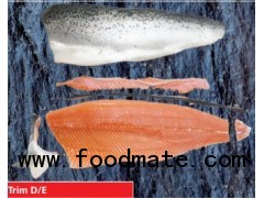 Salmon and Salmon Trout fillets