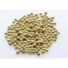 Celery Seed (8 to 12.5% VO)