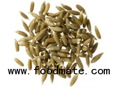 Cumin (30 to 60% VO)