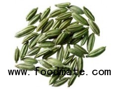 Fennel (5% & 10% VO)
