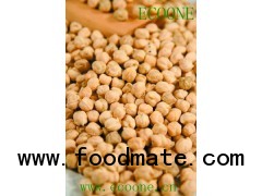 chickpea/dried beans