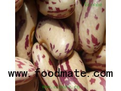 Dried Light Speckled Kidney Beans