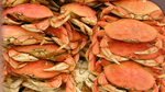 Cromer crab