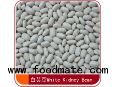 White kidney bean(Japanese shape)