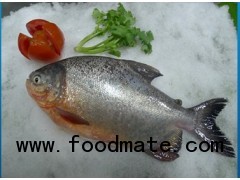 pomfret