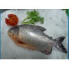 pomfret