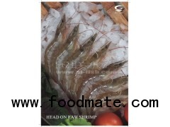 HOSO premium white shrimp