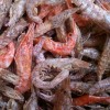 dried shrimp for soup