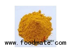 Turmeric powder