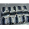 Frozen Pacific Mackerel Flap