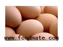 Fresh Chicken Eggs