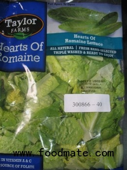 romaine