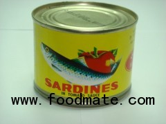 SARDINE IN TOMATO SAUCE