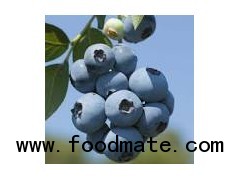 fruits , berries , berry , blueberry , blueberries , blackcurrant , vegetable , frozen dry
