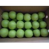 Fresh Green Gala Apple , Green Gala Apple Supplier