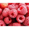 Frozen Raspberry