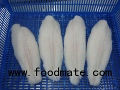 PANGASIUS