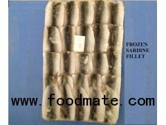 FROZEN SARDINE FISH FILLET