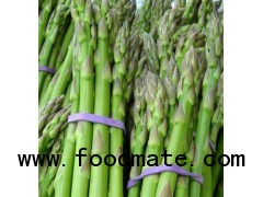 Fresh Green Asparagus