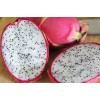 Fresh Dragon Fruit