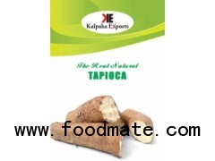 Frozen Tapioca / Cassava /Yuca