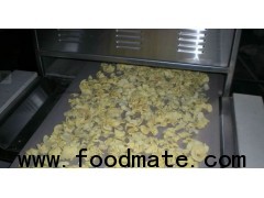 oil free snack puffing equipment