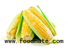 Maize Starch IP/ BP Grade