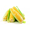 Maize Starch IP/ BP Grade