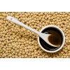 Soya Lecithin