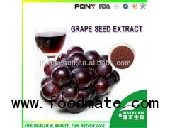Grape Seed Extract 95% Proanthocyanidins
