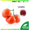 Lycopene 5% Powder Oil