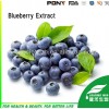 Anthocyanidins -- Bilberry Extract