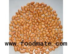 Groundnut kernel