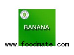 Banana Puree