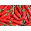 Sell Fresh Chilli, Dried Chilli, Chilli Powder