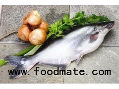 Frozen Fresh Water Pangasius