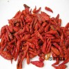 Dried red Chilly