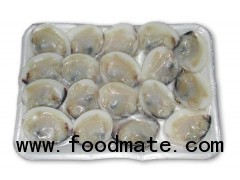 WHITE CLAM HALF SELL