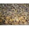 Frozen Cooked Yellow Clam Meat (Paphia Undulata)