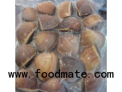 Frozen Cooked Brown Clam Shell on