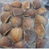 Frozen Cooked Brown Clam Shell on